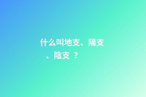 什么叫地支、陽支、陰支？